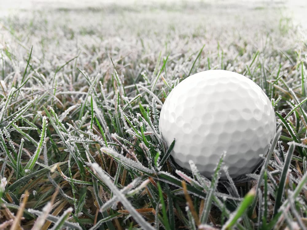 frost delay golf